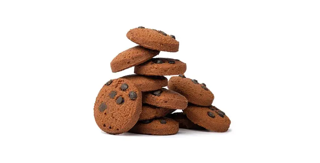 Choco Chip.jpg
