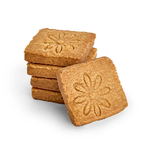 Sugar Free